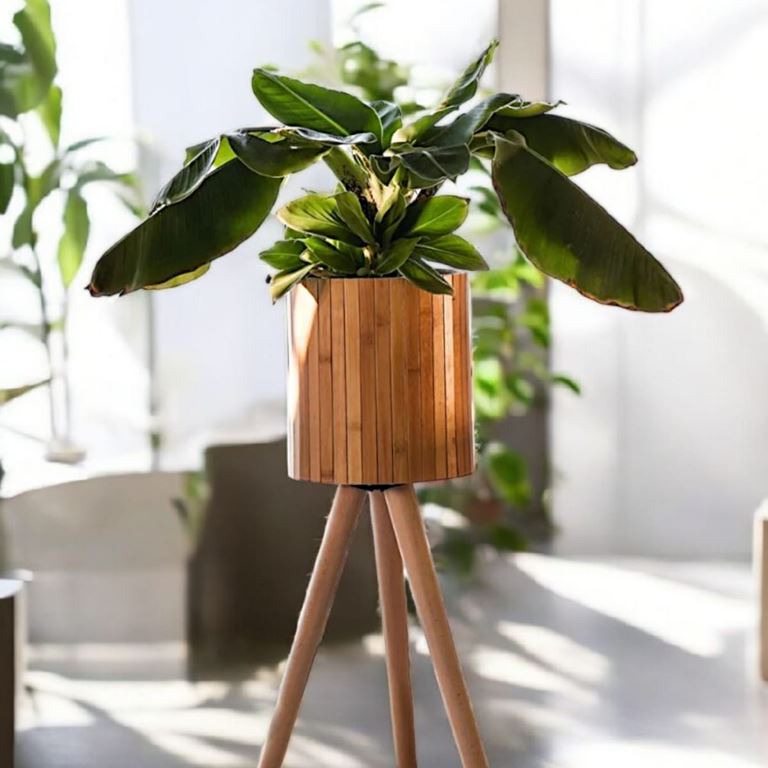 Bambu Ayaklı Saksılık