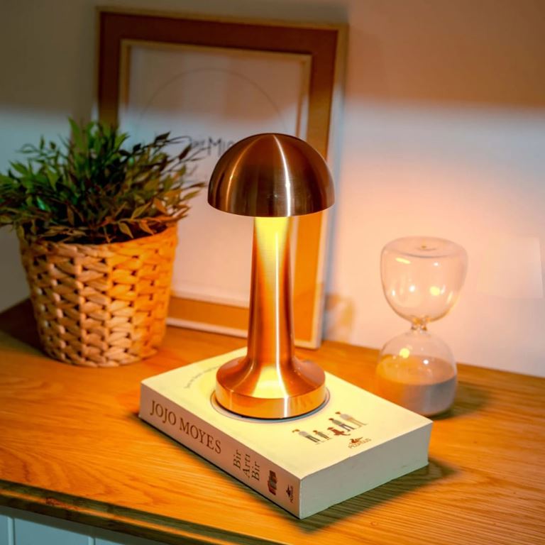 Luna Modern Metal Dokunmatik Şarjlı Lamba