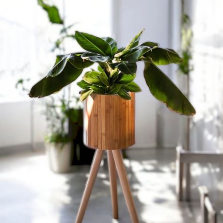 Bambu Ayaklı Saksılık - 3