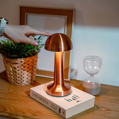 Luna Modern Metal Dokunmatik Şarjlı Lamba - 1