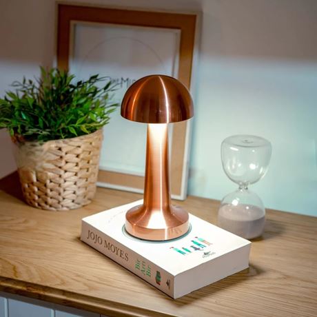 Luna Modern Metal Dokunmatik Şarjlı Lamba - 3